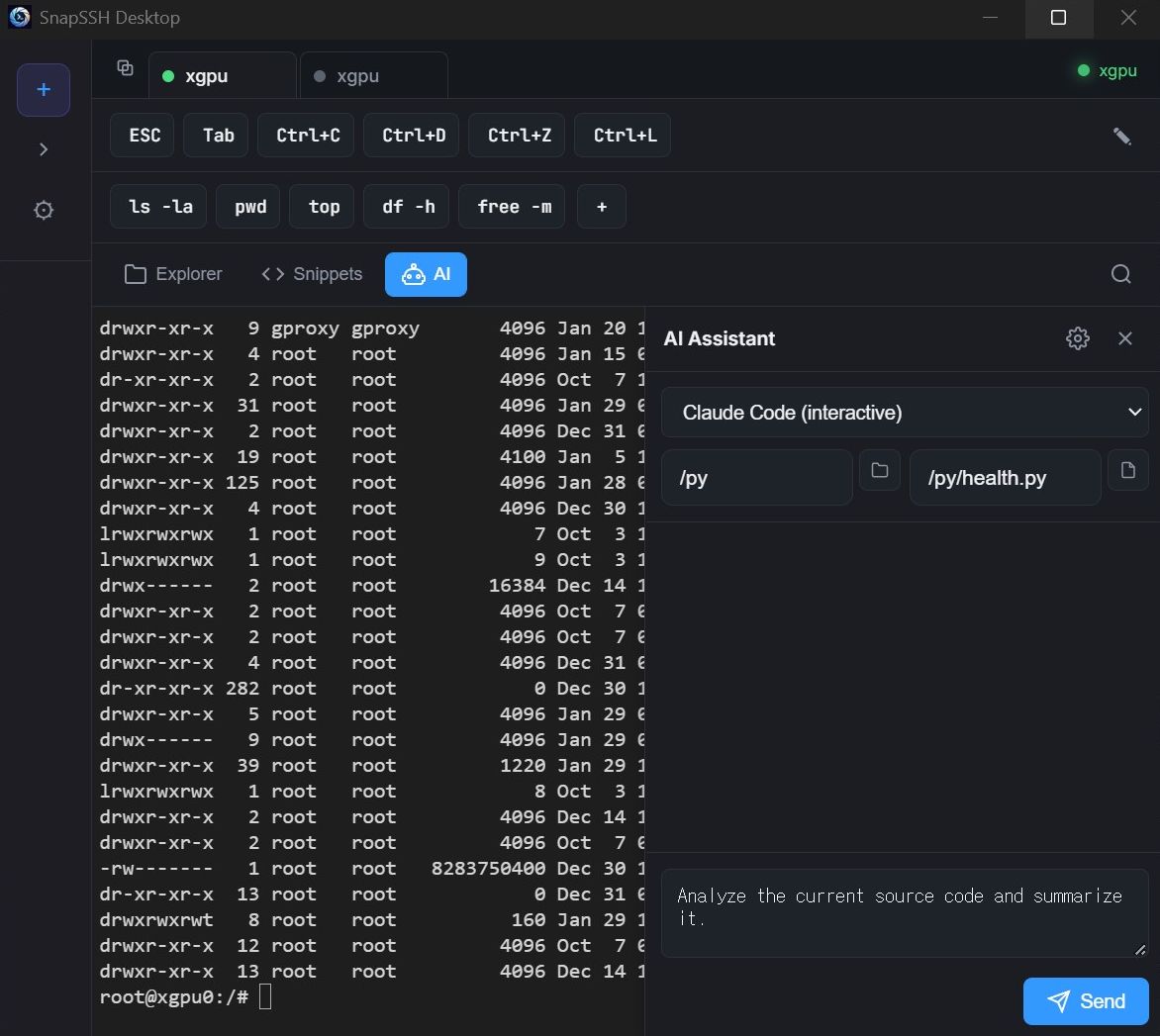 SnapSSH Interface Mockup